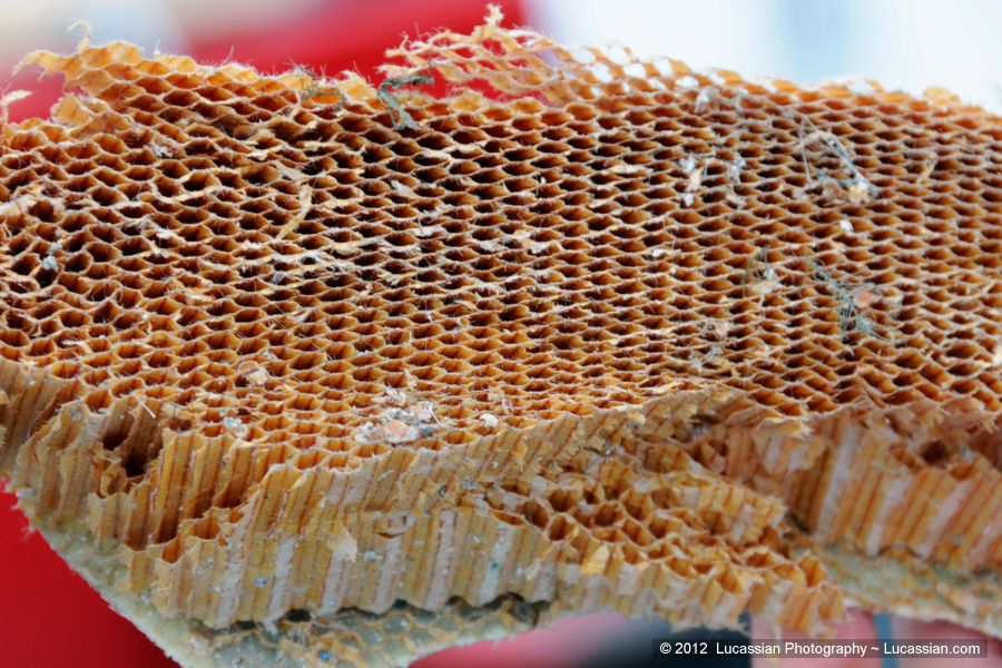 Inside a Sponson_7282