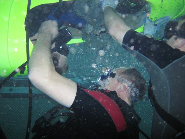 Release 5-point harness